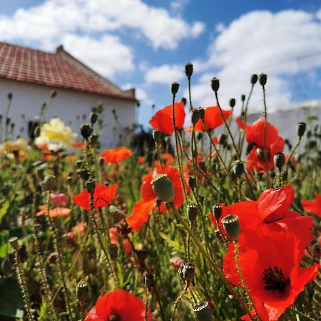 Al Mar Guesthouse Сан-Луїс Екстер'єр фото